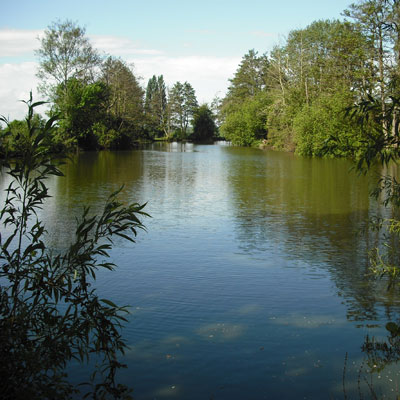 Peckham Fishing River Kent