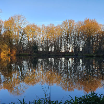 Dingle Dale Fishing Lake 