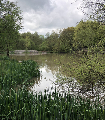 fishing lake Cowden