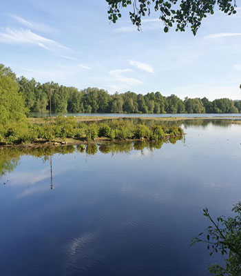 fishing lakes Sevenoaks