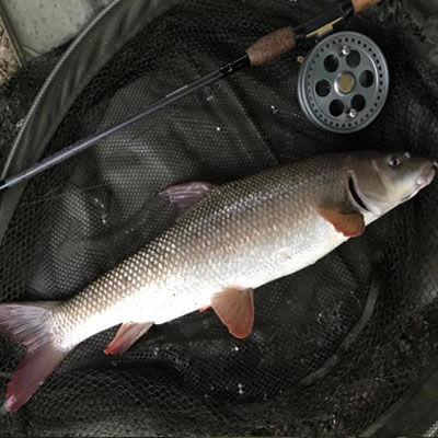 Tunbridge Wells fishing 