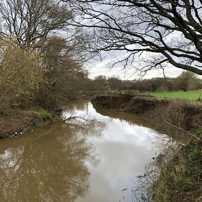 Chub fishing Tunbridge Wells
