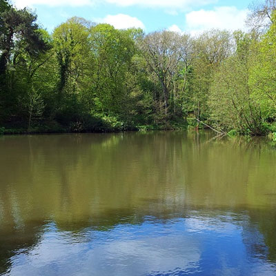 fishing meetings kent