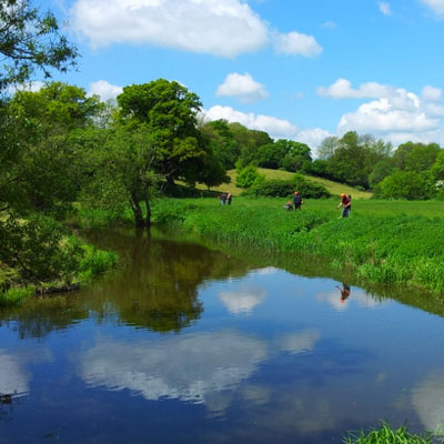 Penhurst fishing lake 