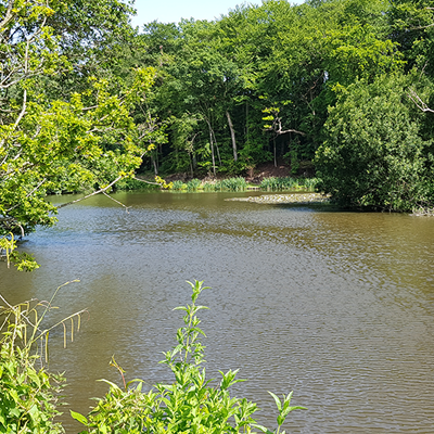 Fishing Lakes Cowden  