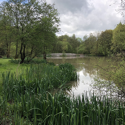  Cowden Fishing Lake   