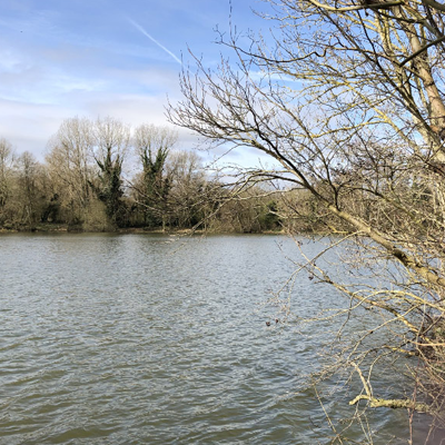 chub fishing lakes Sevenoaks 