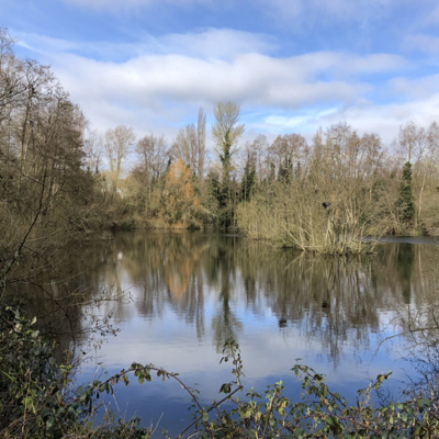 chub Sevenoaks fishing lake
