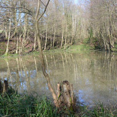 Tunbridge Wells fishing