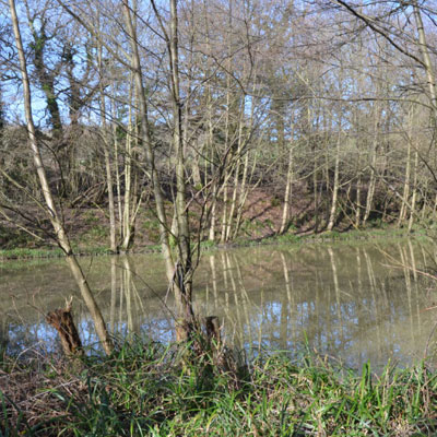 Tunbridge Wells Chub fishing