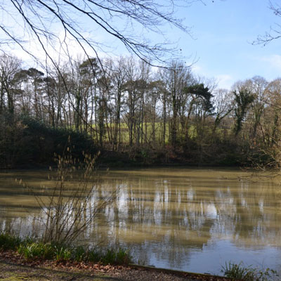 Tunbridge Wells fishing