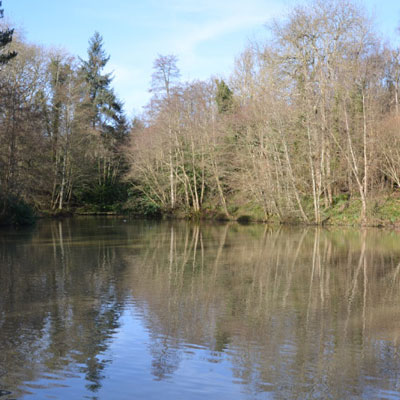 Tunbridge Wells fishing