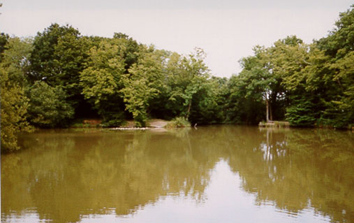 Fishing Dingle Dell, near Edenbridge