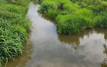 fishing River Eden, near Penshurst