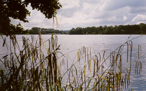 fishing River Darenth Sevenoaks