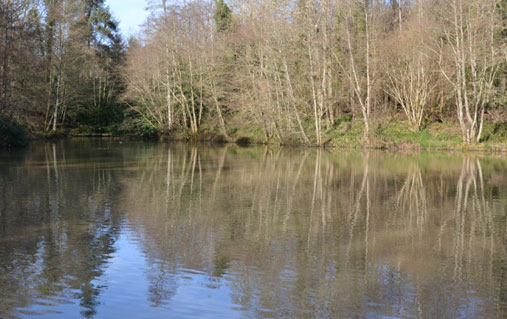 fishing Trulls Hatch Tunbridge Wells