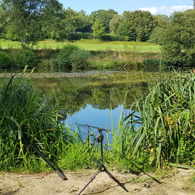 River Eden fishing lake Kent 